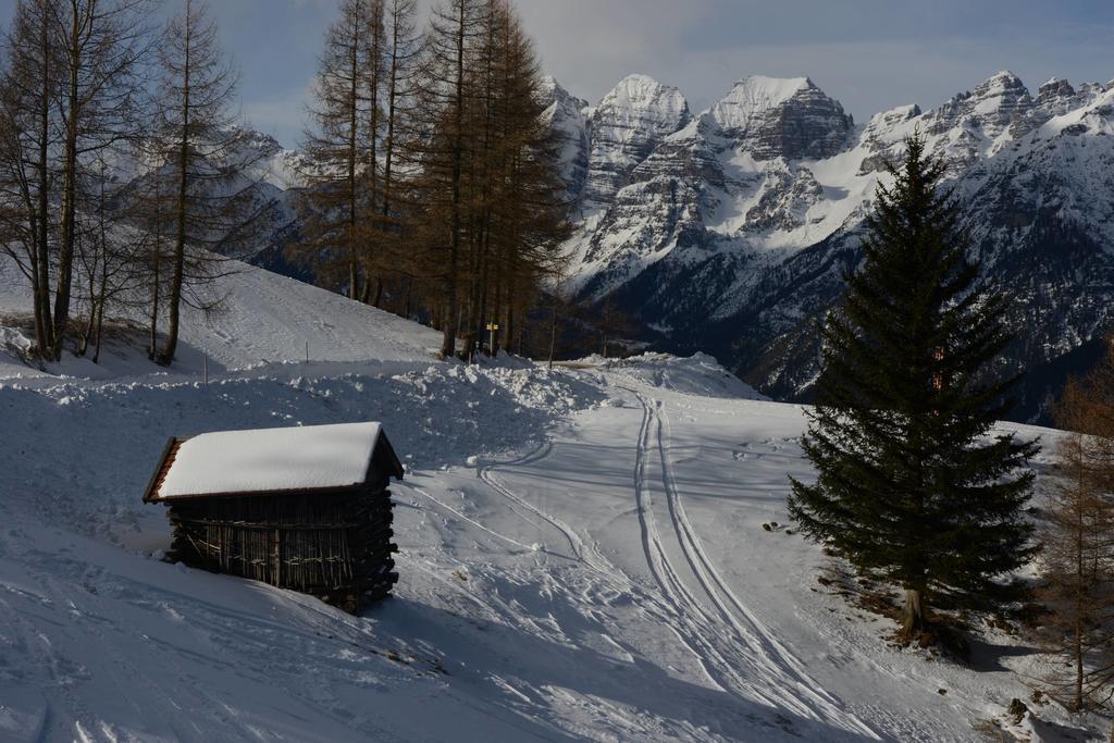 Bed and Breakfast Haus Elisabeth Neustift im Stubaital Esterno foto