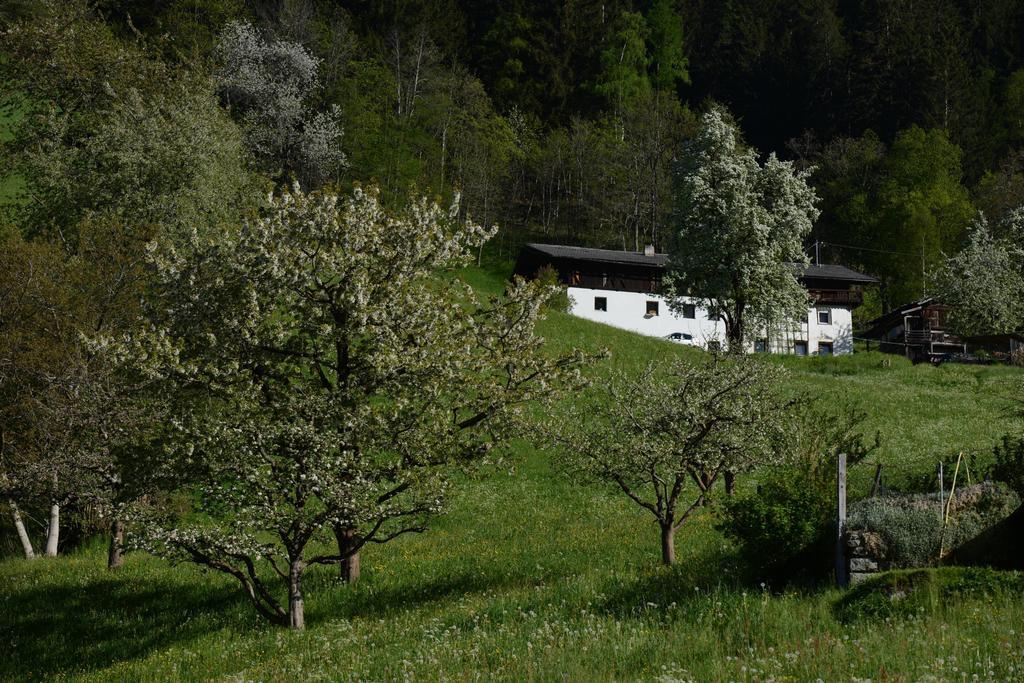 Bed and Breakfast Haus Elisabeth Neustift im Stubaital Esterno foto