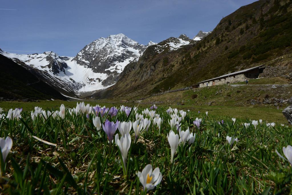 Bed and Breakfast Haus Elisabeth Neustift im Stubaital Esterno foto
