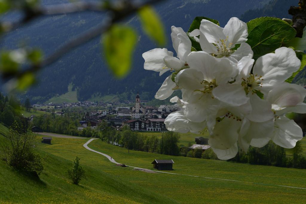 Bed and Breakfast Haus Elisabeth Neustift im Stubaital Esterno foto