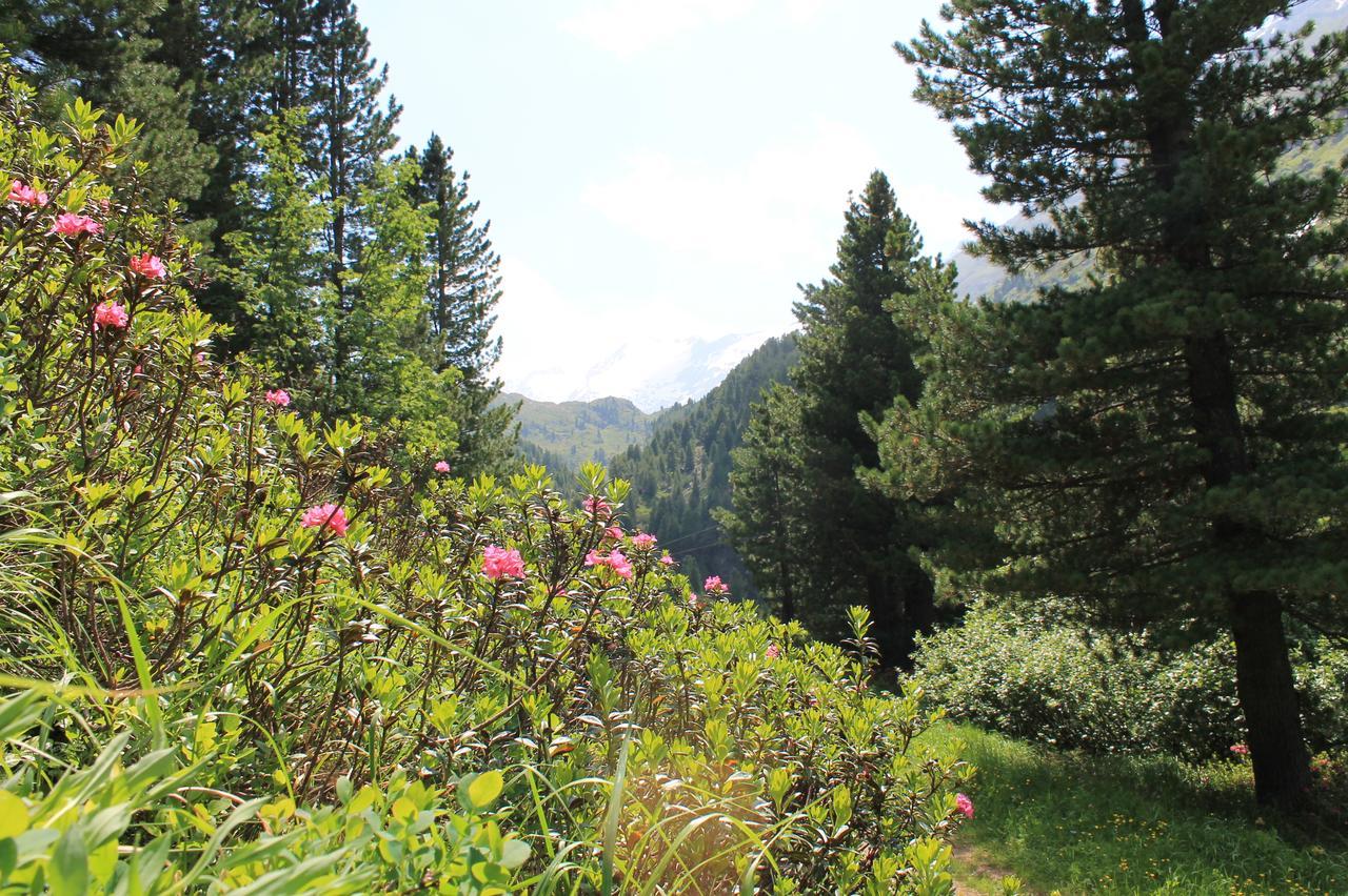 Bed and Breakfast Haus Elisabeth Neustift im Stubaital Esterno foto
